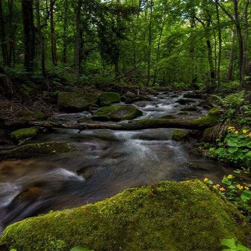 绿色供应链报告