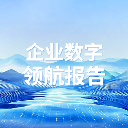 企业数字领航报告